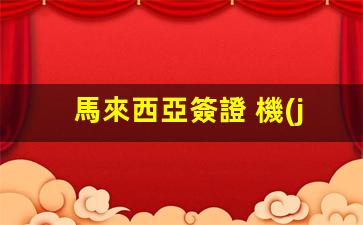 馬來西亞簽證 機(jī)票要求(馬來西亞機(jī)票多少錢一張)